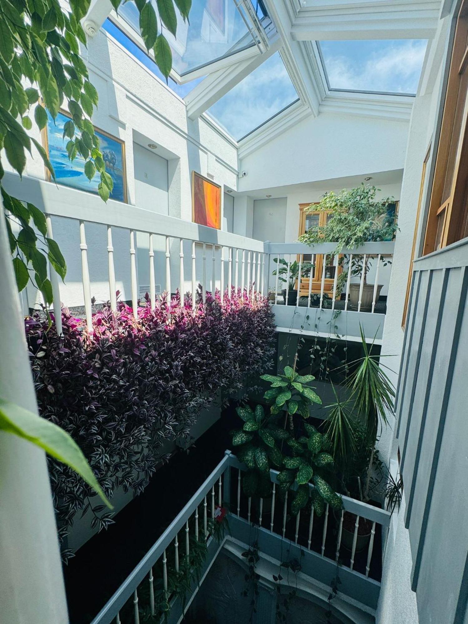 Villa Helvetia Marosvásárhely Kültér fotó