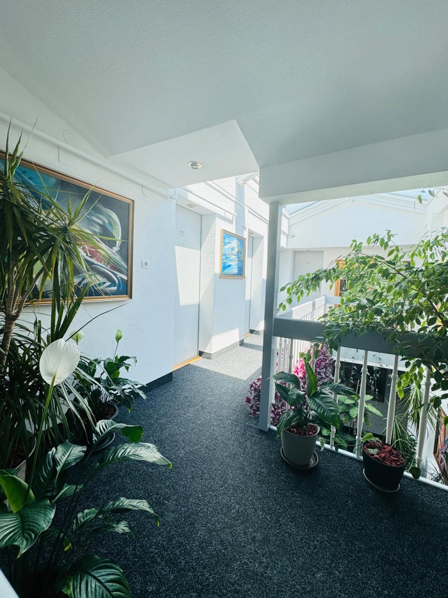 Villa Helvetia Marosvásárhely Kültér fotó